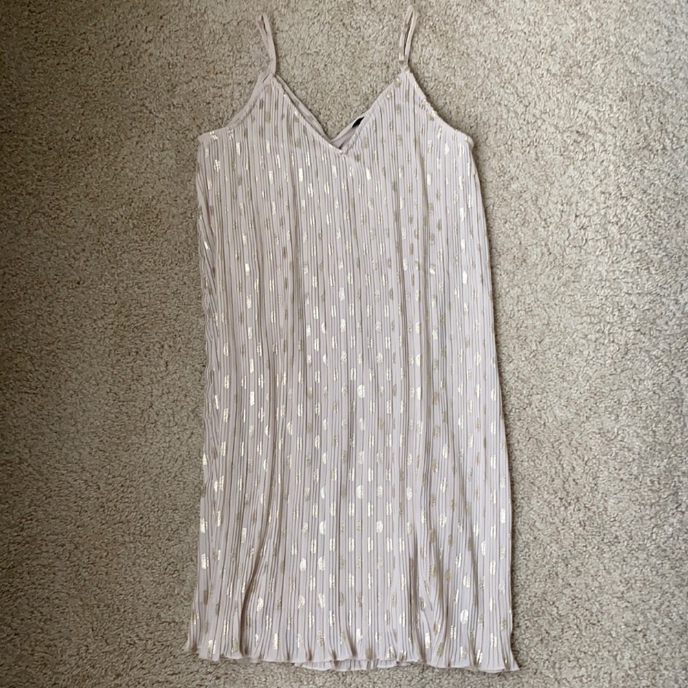 Express pleated dress